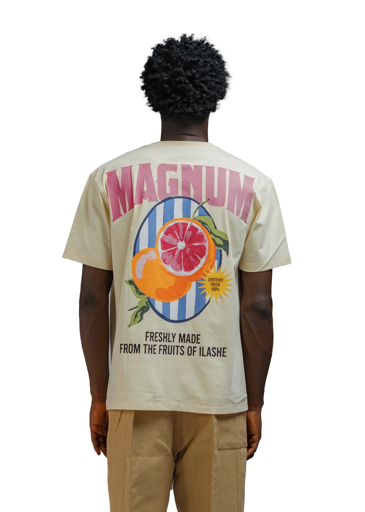 FRUITS OF ILASHE cotton T-Shirt