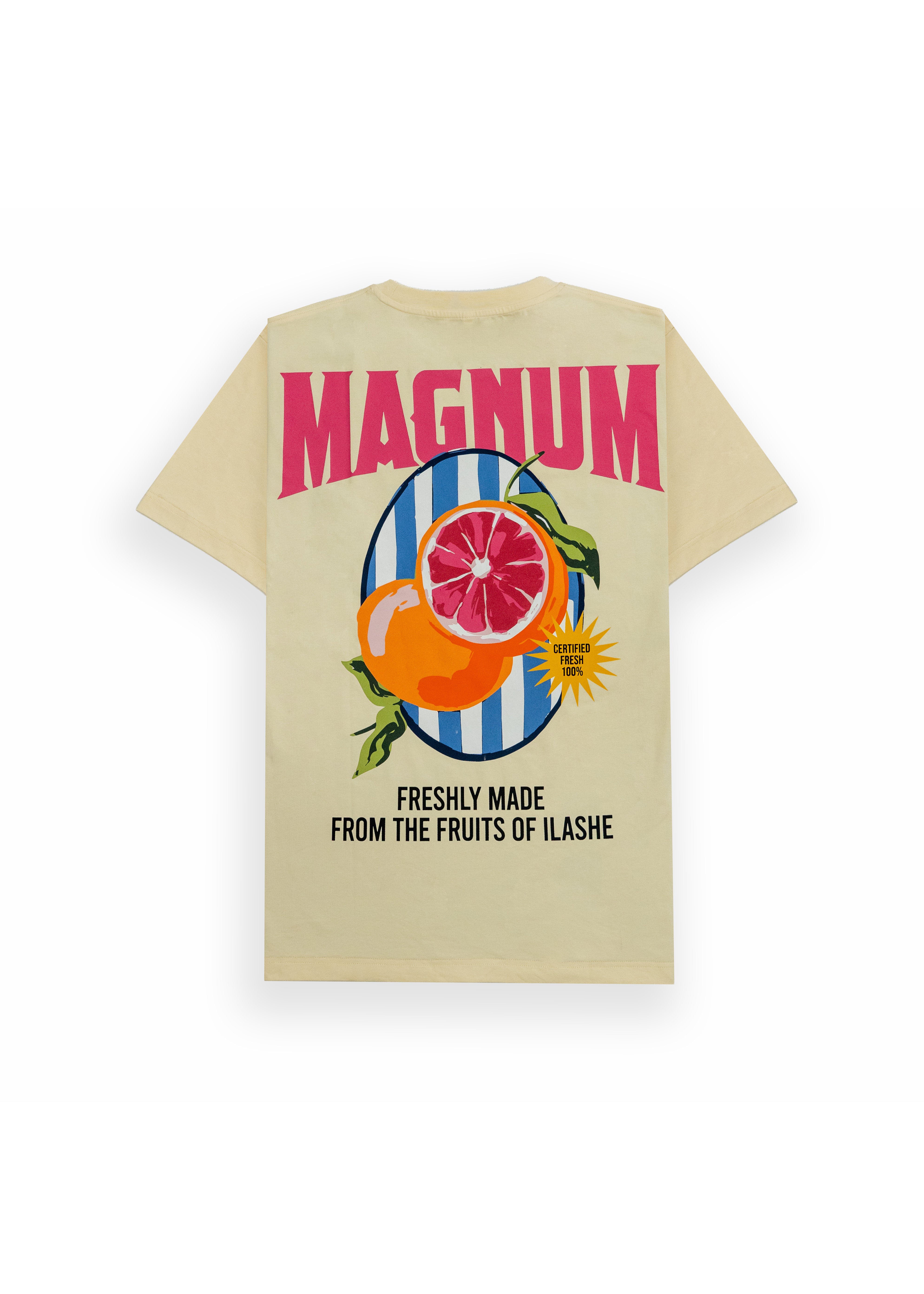 FRUITS OF ILASHE cotton T-Shirt